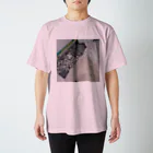 あの汚いベランダ(ry スタンダードTシャツ