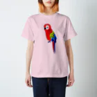 NIKORASU GOのオウム（Tシャツ・パーカー・グッズ・ETC） スタンダードTシャツ