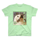 猫のサブリミナルの猫畜生(麗) スタンダードTシャツ