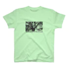 Innocent_DesignのInnocence in the Forest スタンダードTシャツ