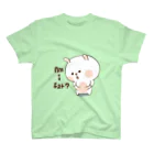 Falcon❤︎のI’am I ....?!  Fat bunny  スタンダードTシャツ