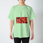 Blood Sugar Balance AustraliaのBlood Sugar Balance Australia Regular Fit T-Shirt