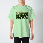 やまとねこのシャガの花畑 スタンダードTシャツ