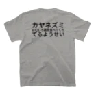 羊毛けだまkanaのfairy スタンダードTシャツの裏面