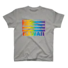 Mighty DaxのHAWAII FLAG Rainbow Regular Fit T-Shirt