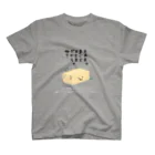 ぬいか(っ´ω｀ｃ)もちもちのまじで大丈夫じゃない スタンダードTシャツ