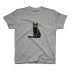 日向ぼっこの黒猫ちも（シンプル） スタンダードTシャツ