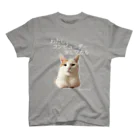 猫T屋のIT系猫 ・わたしコンピューター少しワカル / スタンダードTシャツ スタンダードTシャツ