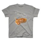 猫T屋のIT系猫 ・わたしITチョットできる / スタンダードTシャツ スタンダードTシャツ