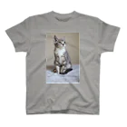 Aiko Nakanoのcat_20190306_0982 Regular Fit T-Shirt