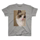 makinboのねこ。つみれフォトジェニック Regular Fit T-Shirt