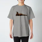 stskcのカンガルー Regular Fit T-Shirt