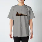 stskcのカンガルー スタンダードTシャツ