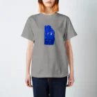 ﾌｾﾘﾝﾀﾛｳの塗った石.png Regular Fit T-Shirt