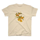 Roseraieのfruits Regular Fit T-Shirt