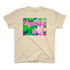 motomo.のピンクの紫陽花. スタンダードTシャツ