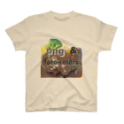 png & png foto-colorsのpng & png foto-colors ロゴ スタンダードTシャツ