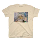 minminのドーム猫 Regular Fit T-Shirt