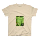 katutubuの緑のクモと蝿 スタンダードTシャツ