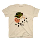 花日和 畳のすいかえる Regular Fit T-Shirt