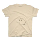 aKiraのやや悲しそうなメジェドさま Regular Fit T-Shirt