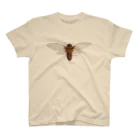 insectech.comのテイオウゼミ スタンダードTシャツ