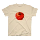 funny globuleのロックの果実(赤) Regular Fit T-Shirt