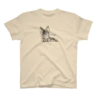 nature boxのFenrir-úlfr スタンダードTシャツ