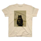 まるねこつくばのまるねこつくば Regular Fit T-Shirt