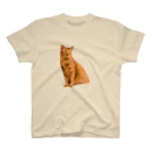 茶トラのエルメルのねこT シンプルな茶トラ スタンダードTシャツ