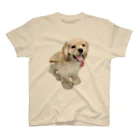 犬の生活が第一の超キュート！アメリカンコッカーのピコたん スタンダードTシャツ