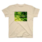 ナンカヨーカイ堂の森のお茶会 Regular Fit T-Shirt