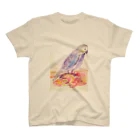 zumiのTrue parrots スタンダードTシャツ