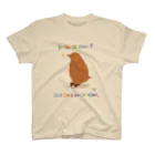 榛原ペンギン美術館(物販部)のキウイペンギン『Rちゃん』 スタンダードTシャツ