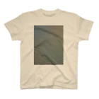 空屋　sorayakusakaの200803091335000　風の痕跡 Regular Fit T-Shirt
