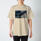 sankanshionのコニファー・ブルーアイス スタンダードTシャツ