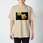 kamakiri3のFlower of the Heart　プルメリア スタンダードTシャツ