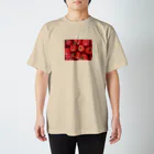 NakaYosiのときめき☆トメィトゥ Regular Fit T-Shirt