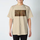 WAVE'S ORIGINAL DESIGNのW.O.D. BRITISH WALL-01 スタンダードTシャツ