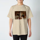 海央(池田氏)のねこのめ スタンダードTシャツ