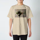 ko-ayaのHipericum スタンダードTシャツ