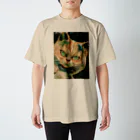 涅槃ねこのブリティッシュショートヘア スタンダードTシャツ