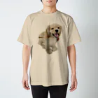 犬の生活が第一の超キュート！アメリカンコッカーのピコたん スタンダードTシャツ