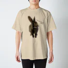 えーりのアイム ビューティフル USA(うさ) Regular Fit T-Shirt