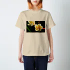 kamakiri3のFlower of the Heart　プルメリア スタンダードTシャツ