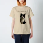 ねこといろいろのあいむ あ ぱーふぇくと にゃんこ スタンダードTシャツ