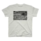 NEKOTORU（ねことる）のPiccolo Flower mono Regular Fit T-Shirt