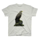 野鳥生活のオジロワシ（★寄付） スタンダードTシャツ
