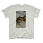 misaoのかくれ猫 Regular Fit T-Shirt