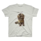 hoimisoの不服そうなペシャンコ猫のあおたろ（ひらがなver.） Regular Fit T-Shirt